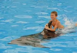 DOLPHINS BAY SHOW