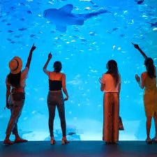AQUARIA PHUKET